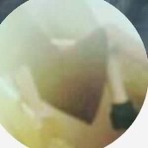 Meet your Posher, Regan